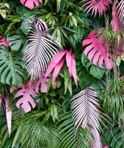 Fototapeta Tropické barevné listy
