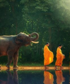 Fototapeta Monks and Elephant