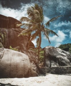 Fototapeta Tropická pláž s palmou