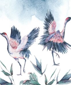 Fototapeta Ilustrace ptáků