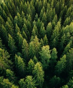 Fototapeta Letecký pohled