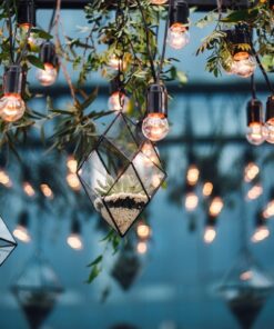 Fototapeta Floraria s květinami