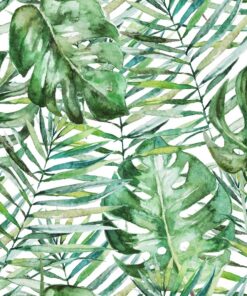 Fototapeta Tropické palmové listy