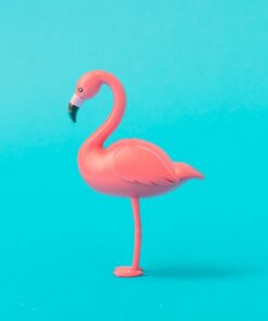 Fototapeta Flamingo na modrém pozadí
