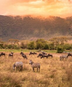 Fototapeta Kráter Ngorongoro