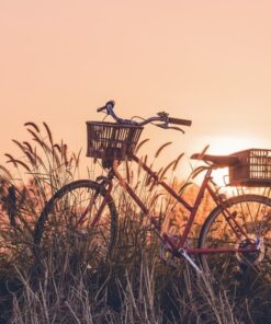 Fototapeta Kolo při západu slunce