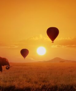 Fototapeta Slon s balónky v pozadí