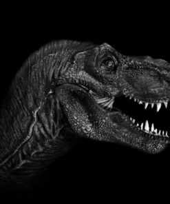 Fototapeta Tyrannosaurus Rex