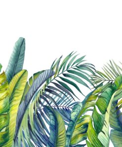 Fototapeta Ilustrace tropických palem