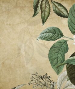 Samolepka na zeď Green Rose Leaves