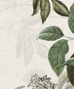 Fototapeta Zelená vektorová růže listy