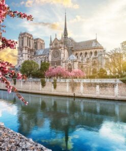 Fototapeta Katedrála Notre Dame