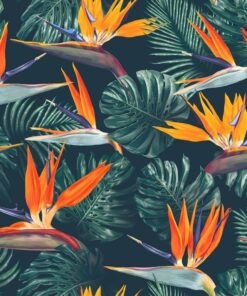 Fototapeta Ilustrace tropických ptáků