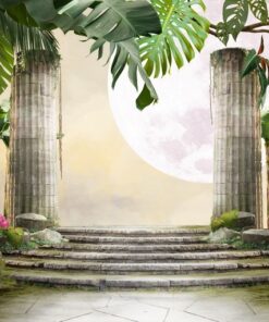 Fototapeta Měsíc s tropickými palmami