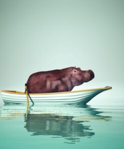 Fototapeta Hroch v Lodži