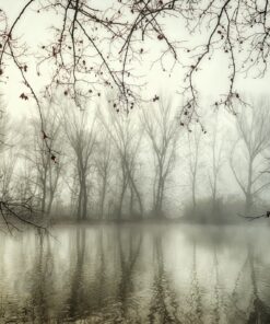 Fototapeta Zimní mlha