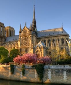 Fototapeta Katedrála Notre Dame 2