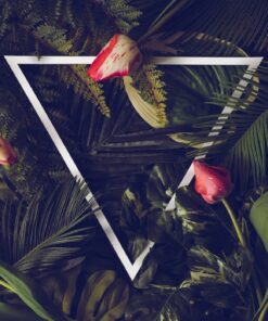 Fototapeta Tropické listy na tmavém pozadí