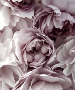 Samolepka na zeď Cherry blossoms 2