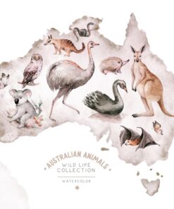 Fototapeta Australská zvířata