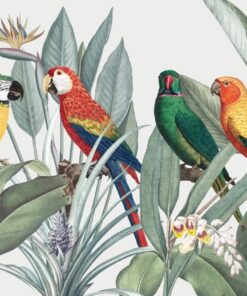 Fototapeta Colorful Tropical Birds