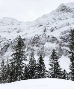 Fototapeta Zimní krajina 3