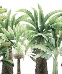 Fototapeta Tropické palmy 6