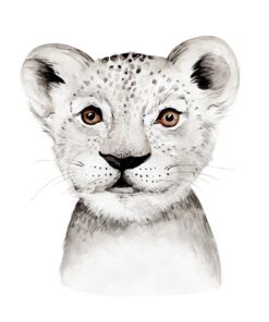 Fototapeta Portrét lvíčete