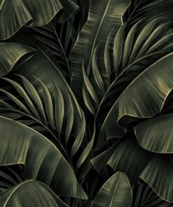 Fototapeta Banánové listy 3