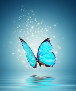 Fototapeta Magic Butterfly