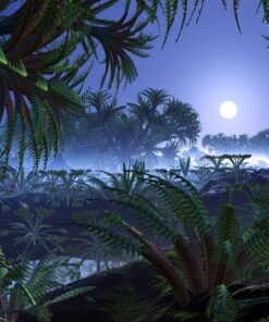 Fototapeta Džungle v noci 2