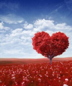 Fototapeta Červené srdce