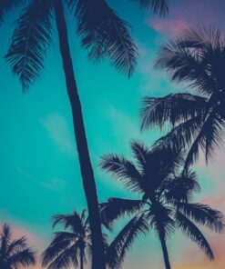 Fototapeta Hawaiian Palms