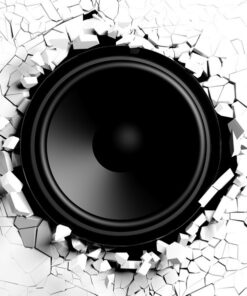 Fototapeta Reproduktor