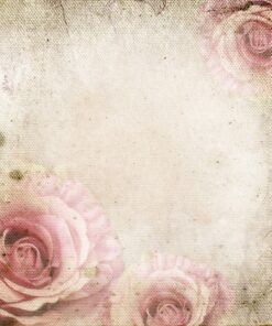 Nálepka na zeď dekorativní růže