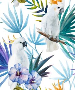 Fototapeta Bílí papoušci