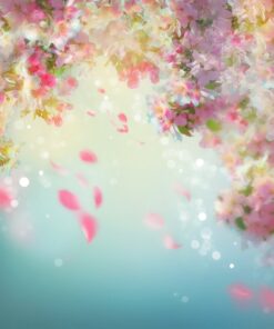 Fototapeta Rain Flowers