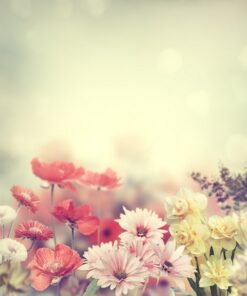 Fototapeta Jarní květiny