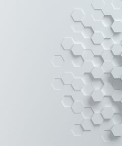 Fototapeta Sněhová vločka