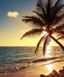 Fototapeta Palma na pláži 2