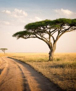 Fototapeta Africká krajina