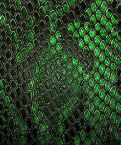 Fototapeta Hadí kůže