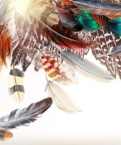 Fototapeta Barevné peří