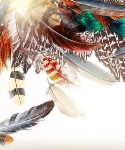 Fototapeta Kolorowe Pióra