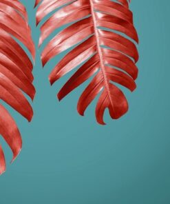 Fototapeta Coral Leaves