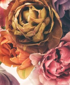 Nálepka na zeď Vintage Tulips