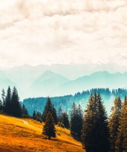 Fototapeta Moody Mountain Landscape