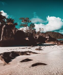 Fototapeta Pláž na Seychelách