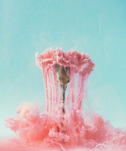 Fototapeta Karafiát a růžový kouř