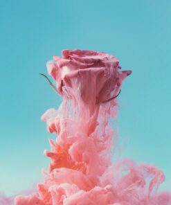 Fototapeta Růže a kouř